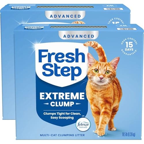 Fresh Step Advanced Extreme: Análisis Completo 2025