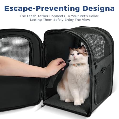 Apollo Walker Dog & Cat Carrier Backpack for 4-18lb Pets - Ventilated Safe Design with Padded Back Support, Breathable Mesh Pet Backpack for Hiking, Travel, Outdoor (Black)