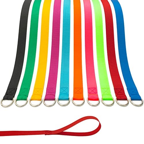 ATICNECH Slip Lead Leash 10 Piezas: Análisis Completo 2024