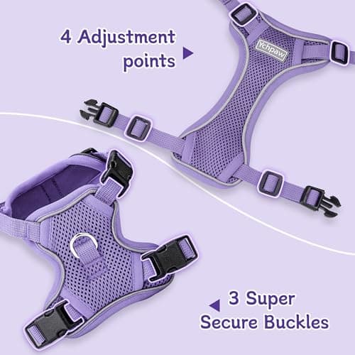 Ychpaw Small Dog Harness and Leash Set, Reflective Soft Breathable Mesh Vest, 3 Buckles, Adjustable Neck and Chest,Step in Dog Harness for Walking, Running, Training, Purple, S