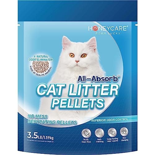 All-Absorb Cat Litter Review: Real Test with My Two Cats