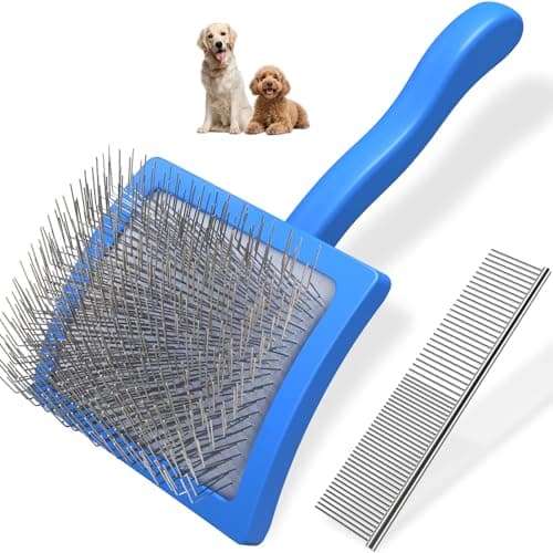 Brosse Slicker Saccison : Mon Test Complet pour Goldendoodle et Doodle
