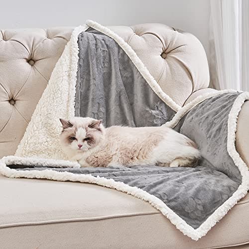 Waterproof Kattendeken Test 2025 – Qeils Wasbare Kattenkleed Review