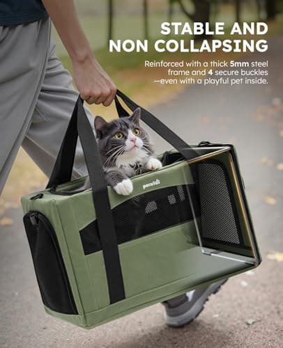 Pecute Cat Carrier Stable, Pet Carrier with Hidden Anxiety Relief Partition & Stable Steel Frame, Safe Cat Carrier for Car Travel, Soft-Sided Dog/Cat Carrier Bag for Pets Up to 11lbs, Green