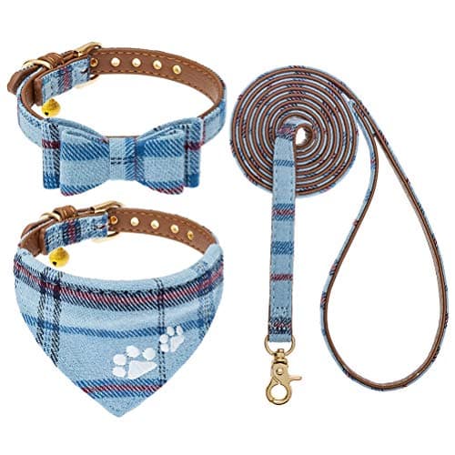 EXPAWLORER Puppy Collar and Leash Set Review – Is It Worth It?