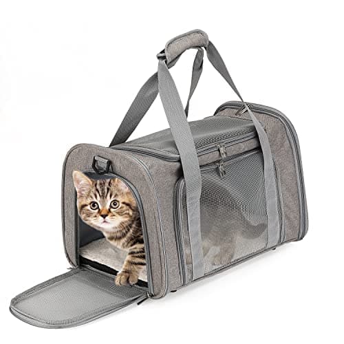 Avis Mr. Pen Pet Carrier : le transporteur idéal pour chats et petits chiens ?