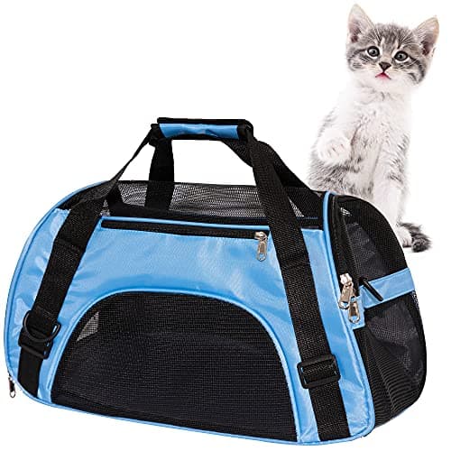 Transportín Para Gatos MuchL: Análisis Completo 2024