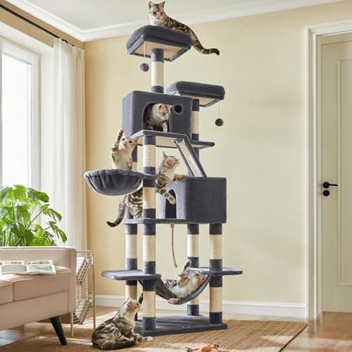 Feandrea Cat Tree – Test complet de l'arbre à chat 81 pouces