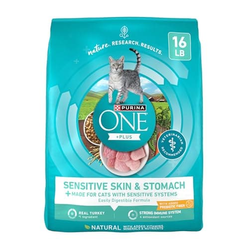 Purina ONE Sensitive Stomach Cat Food Review – Our Honest Verdict