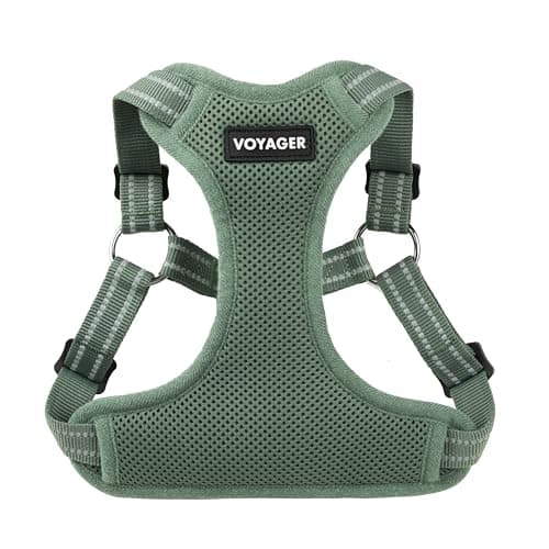 Best Pet Supplies Voyager Dog Harness Review – Expert Test 2024