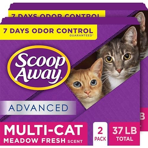 Litière Agglomérante Scoop Away Advanced Multichat – Notre Avis Complet