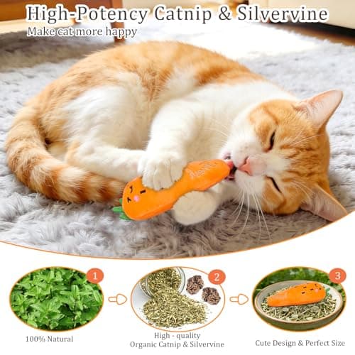 ETEKYER Catnip Cat Toys, 5 Pack, Plush Cat Nip Toys for Indoor Kitten Kitty, Interactive Cat Kicker Chew Safe Teeth Cleaning Toys, Fun Vegetable Shape