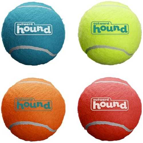 Outward Hound Squeaker Ballz Review: Solid Fetch Toy for Small to Medium Dogs
