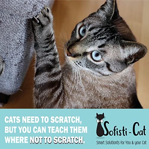 Sofisti-Cat Training Tape, Cat Tape for Furniture, Scratch Deterrent Keep Cats from Scratching Furniture with Our Double -Sided Repellent, 2.5" x 15' Roll