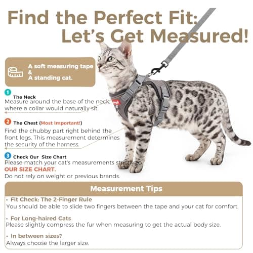 pangdi Cat Harness and Leash Kitten Harness Escape Proof Lightweight Breathable Mesh Cat Leash for Walking Travel, Grey, X-Large