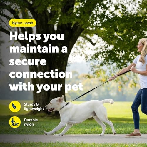 PetSafe Nylon Dog Leash Strong, Durable, Traditional Style Lead with Easy to Use Bolt Snap for Small, Medium and Large Dogs 3/8" x 6', Black