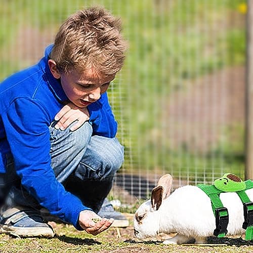 XPAPOV 4 Sets Adjustable Bunny Rabbit Harness and Leash Set Small Pet Cute Vest Harness Leash Ferret Harness Guinea Pig Harness Ferret Leash with Decorations for Bunny Kitten Puppy, Small Pets