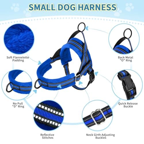 Lukovee No Pull Dog Harness and Leash Set, Soft Padded Small Dog Harness, Neck & Chest Adjustable Reflective Vest Puppy Harness with 4ft Lightweight Anti-Twist Dog Leash for Small Dogs (XXS, Blue)