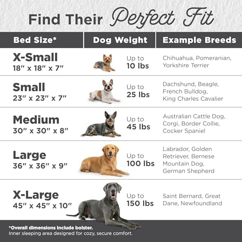 Best Friends by Sheri The Original Calming Donut Dog Bed for Small Dogs up to 25 lbs, Lux Faux Fur, Gray, 23" x 23"