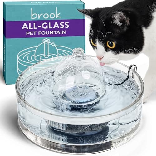Brook Glass Pet Fountain Recensione – La Fontanella per Gatti in Vetro più Sicura