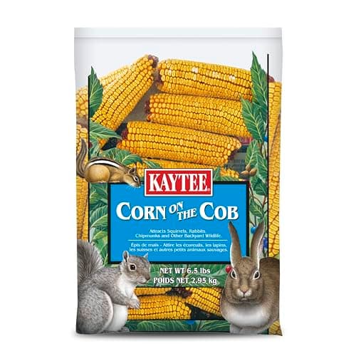 Kaytee Corn On The Cob Review: Worth It for Wildlife Lovers?