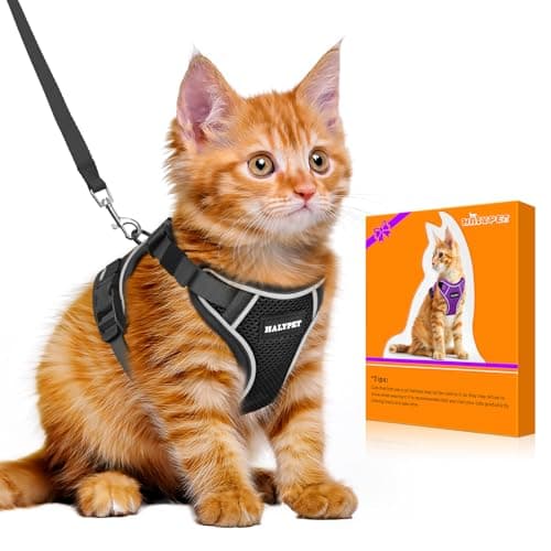 Halypet Kattenharnas Review: Escape-Proof En Comfortabel?