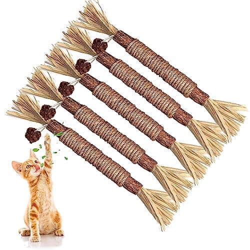 Silvervine Cat Toy – recenzja 5-pack z patyczkami do żucia