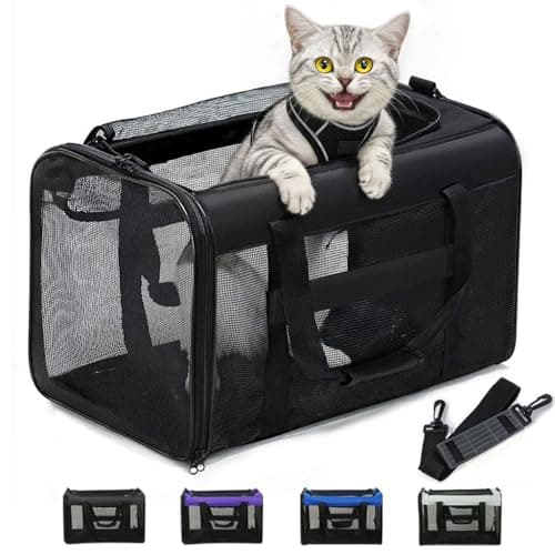 Conlun Cat Carrier Bag Review: Solid Soft-Sided Travel Option