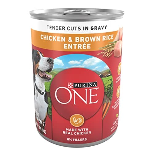 Purina ONE Hundfoder Test – Kyckling & Brunt Ris i Sås (Recension 2025)