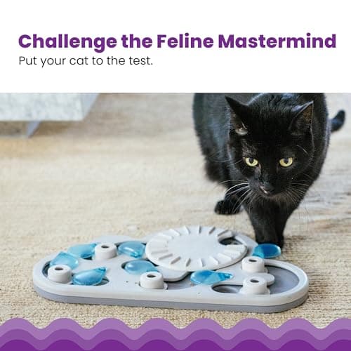 Catstages Nina Ottosson Rainy Day Puzzle & Play – Interactive Cat Puzzle Feeder for Indoor Cats, 19 Hidden Treat Compartments, Slow Feeder, Durable & Easy‑Clean