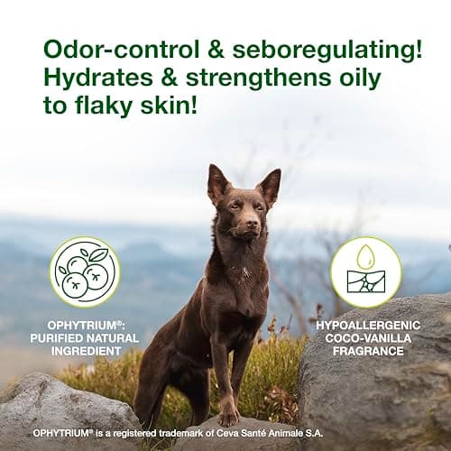 Douxo S3 Seb Shampoo, Contains 0.5% Ophytrium, Odor Control & Seboregulating, For Oily to Flaky Skin, Seborrhea, For Dogs and Cats, 16.9 fl. oz. (500mL)