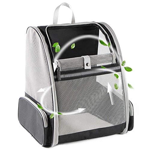 Texsens Bubble Backpack Pet Carrier Review – Worth the Hype?