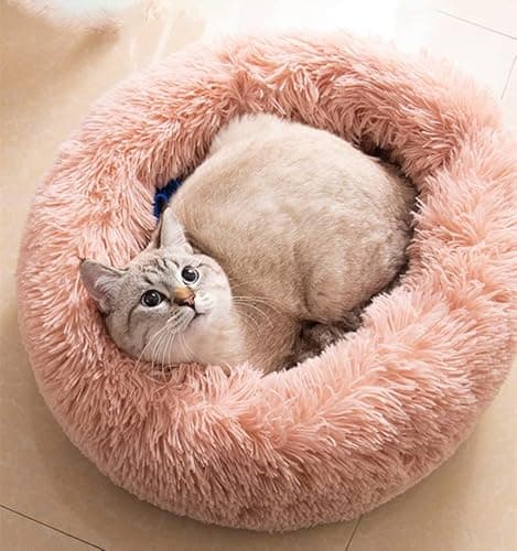 Recensione Letti per Gatti da Interno 2024 – Cuccia Washable