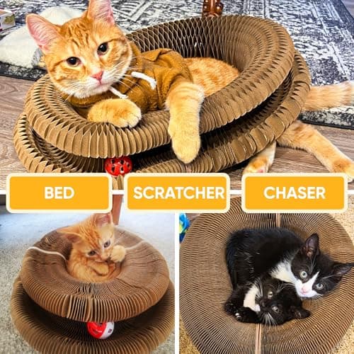 KITTY KURLZ Interactive Cat Toy & Cardboard Cat Scratcher, Collapsible Ball Track with Bell, Reversible Scratch Ring for Play, Chase and Lounge