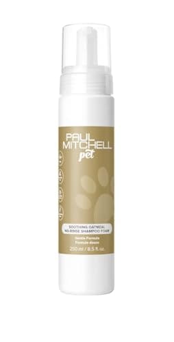 Paul Mitchell Pet Hundeshampoo Test: Das Oatmeal Wasserlos Shampoo im Check