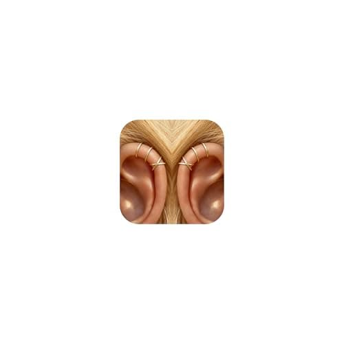 4Pcs Ear Cuff Ohrringe Test 2025 – Vergoldete Non-Piercing Ohrringe für Frauen