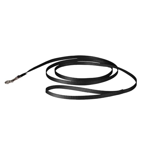 PetSafe Nylon Hundeleine Test 2025 – Langlebig & Alltagstauglich