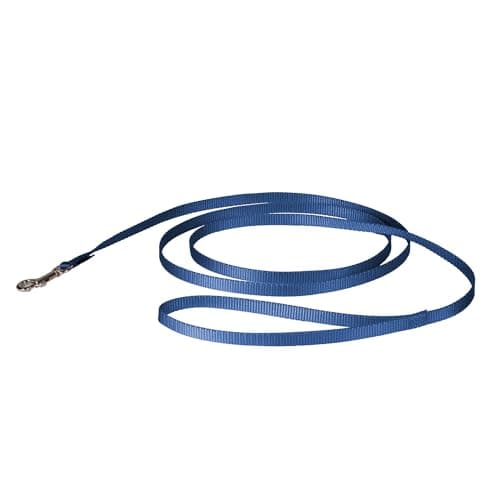 PetSafe Nylon Hundeleine im Test – Robust, alltagstauglich, preisbewusst
