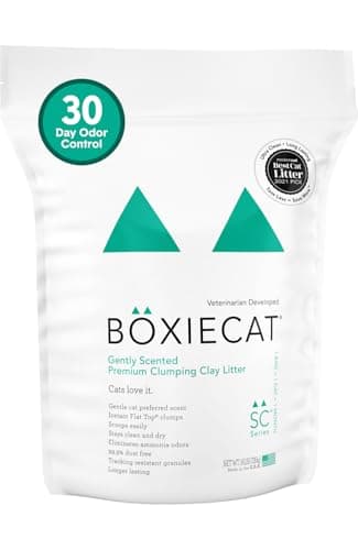 Arena Boxiecat Gently Scented Premium – Análisis Completo 2024