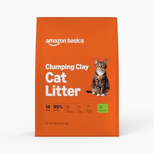 Amazon Basics Clumping Cat Litter Review – Worth It?