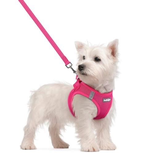 rabbitgoo Dog Harness Small: Análisis Completo del Arnés Para Perros Pequeños
