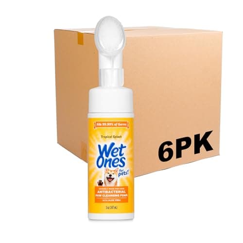 Hundepfoten Reiniger Test 2025 – Wet Ones 6er Pack im Check