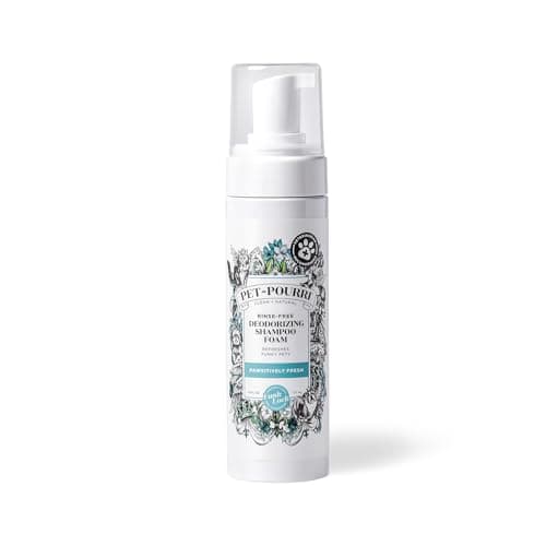 Shampoing Sec Poo-Pourri pour Chat : Mon Avis Complet
