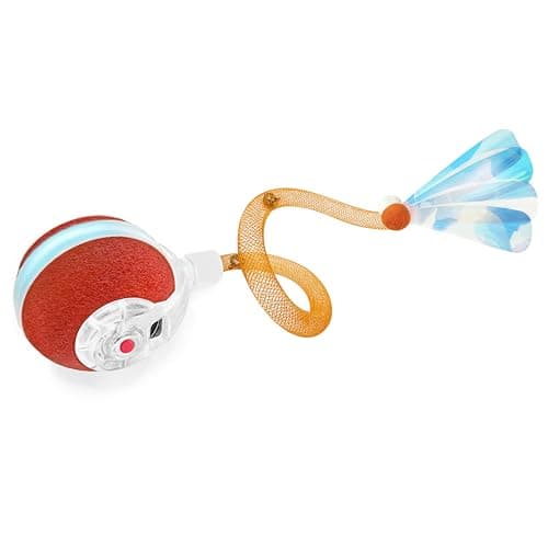 Jkanti Interactive Cat Ball Review – Is This Automatic Toy Worth It?