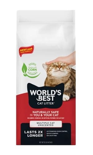 Arena World's Best Cat Litter Multiple Cat: Review Honesta 2024