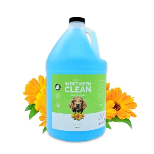 Bark2Basics Waterless Dog Shampoo Review – Our Hands-On Test