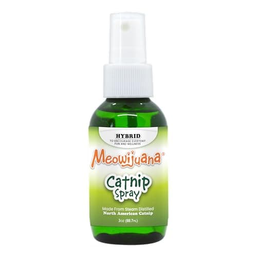 Meowijuana Spray Catnip Chat : Avis Complet et Test