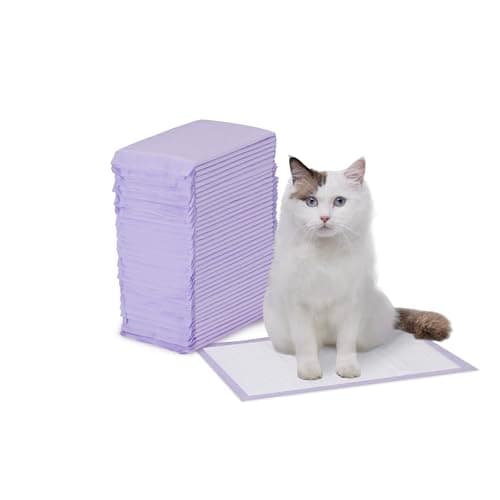 Amazon Basics Cat Litter Pee Pads Review: Honest Hands-On Test
