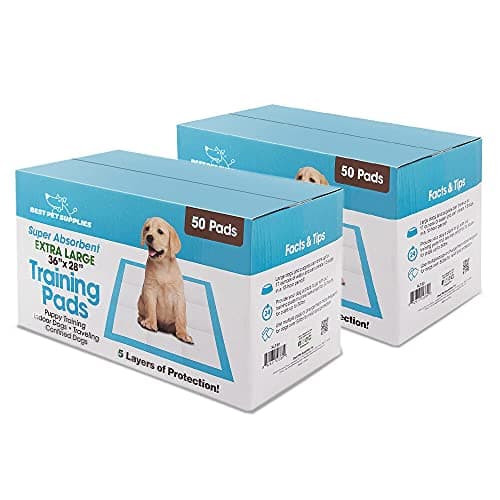Best Pet Supplies XL Puppy Pads Test 2024 – 100 Stück im Check