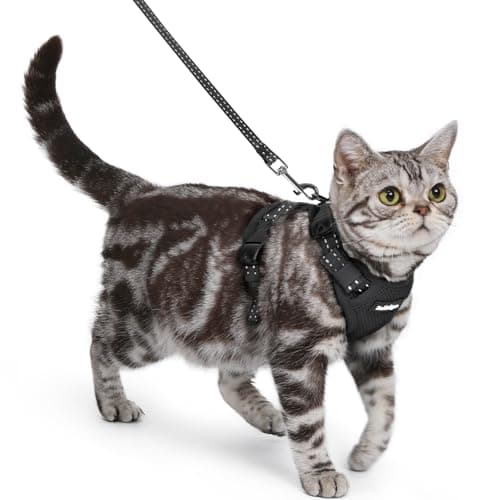 rabbitgoo Cat Harness Review: Escape-Proof Comfort for Your Feline
